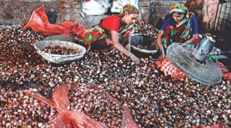 Women pick “saleable” onions from a heap of half-rotten ones at a wholesale store in the capital’s Shyambazar yesterday. Each kg of these sold for about Tk 120, almost half the price of good onions. Before the prices shot through the roof, these onions would have been dumped. Photo: Palash Khan