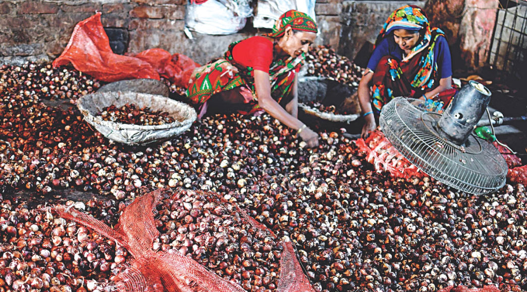 Women pick “saleable” onions from a heap of half-rotten ones at a wholesale store in the capital’s Shyambazar yesterday. Each kg of these sold for about Tk 120, almost half the price of good onions. Before the prices shot through the roof, these onions would have been dumped. Photo: Palash Khan