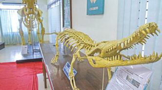 From the skeleton of a crocodile to that of a small sparrow -- the anatomy museum at Chattogram Veterinary and Animal Sciences University will surely enthral visitors with its collection. Photo: Rajib Raihan
